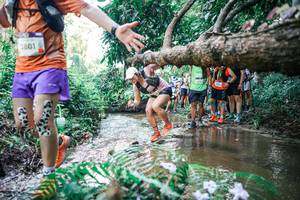 BIB: 
                            <button type="button" onclick="openModal(25468429)" class="btn btn-primary btn-sm float-right btn-popup" data-toggle="modal" data-target=".modal-high-quality">
                        <i class="fas fa-shopping-cart"></i> Add to Cart
                    </button>
                                            <button type="button" onclick="isThisMe(25468429, true)" class="btn btn-success btn-sm float-right btn-popup btn-isme hidden" data-toggle="tooltip" data-placement="bottom" title="นี่คือรูปของคุณใช่ไหม คลิกที่นี่เพื่อเอาเข้าอัลบั้ม">
                        <i class="fas fa-plus"></i> Add to album
                    </button>
                    <button type="button" onclick="isThisMe(25468429, false)" class="btn btn-warning btn-sm float-right btn-popup btn-isnotme hidden">
                        <i class="fas fa-ban"></i> Remove from album
                    </button>